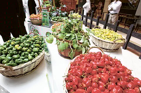 Ahmed Kutty/Gulf News