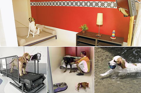 XPRESS/Virendra Saklani