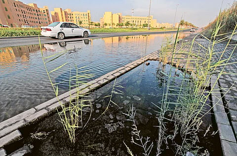 Oliver Clarke/XPRESS