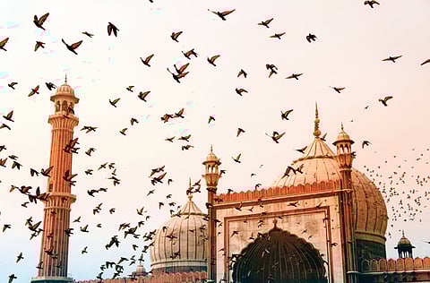 Corbis/ArabianEye.com