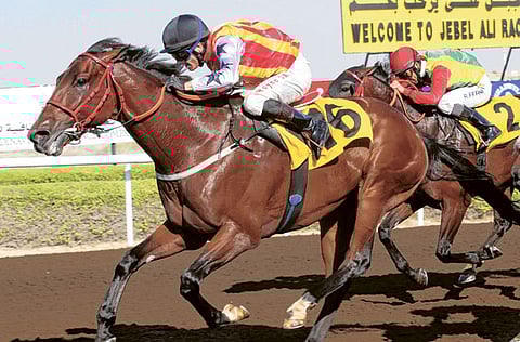 Arshad Ali/Gulf News