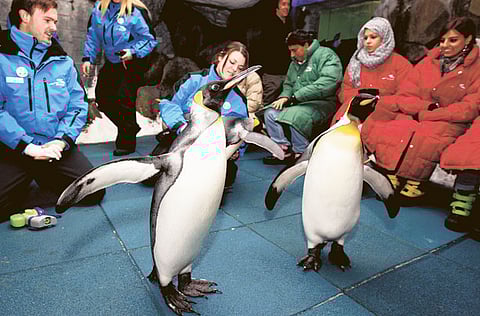 Pankaj Sharma/Gulf News