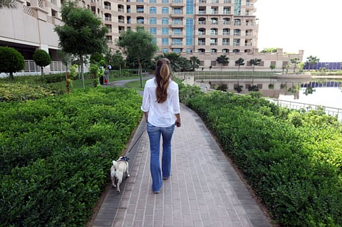 Dog poisoning scare at Emirates Living
