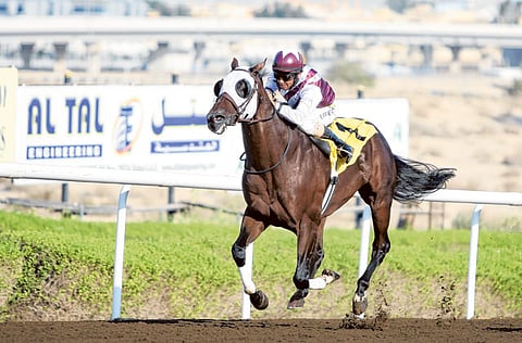 Abdel-Krim Kallouche/Gulf News