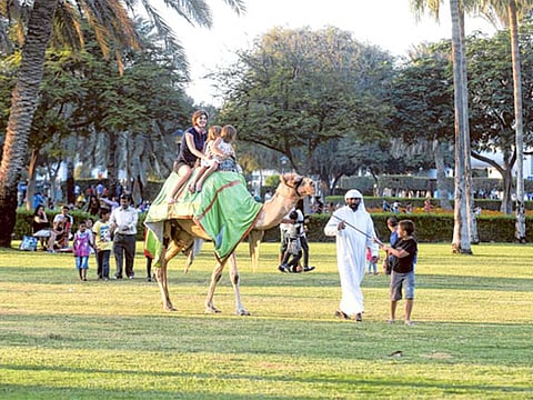 Residents of Dubai at Safa Park.
