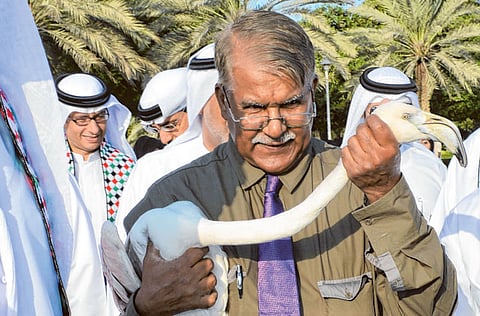 Courtesy: Dubai Municipality