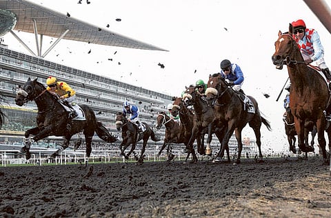 Francois Nel/Gulf News Archives