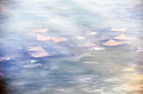 DEREK BALDWIN/Gulf News