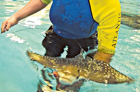 DEREK BALDWIN/Gulf News