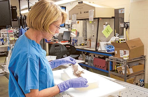 Courtesy U.S. Geological Survey