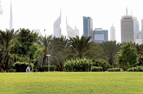 Zarina Fernandes/Gulf News