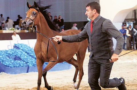 Arshad Ali/Gulf News