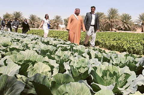 Abdul Rahman/Gulf News