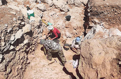 Courtesy: Directorate of Antiquities in Sharjah and Archaeology Department