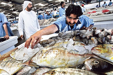 Asghar Khan/Gulf News Archives