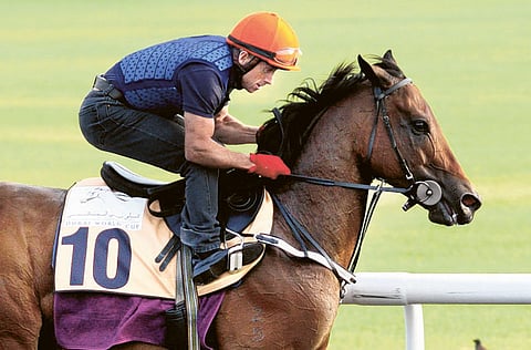 Virendra Saklani/Gulf News