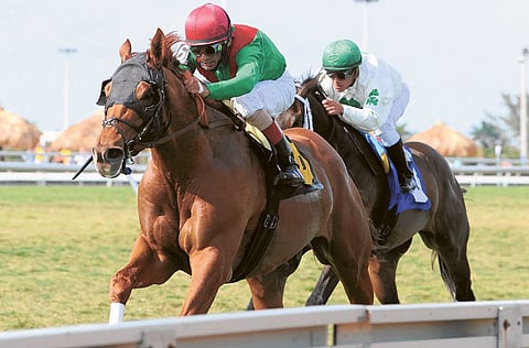 Courtesy: Adam Coglianese