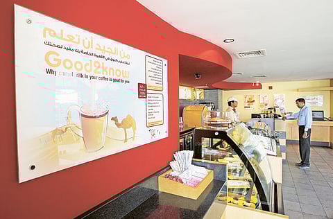 © XPRESS/Asghar Khan