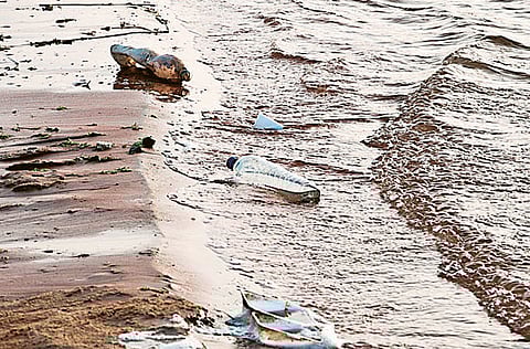 Chithra Parameswaran/Gulf News reader