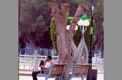 Jay Armendarez, Gulf News Reader