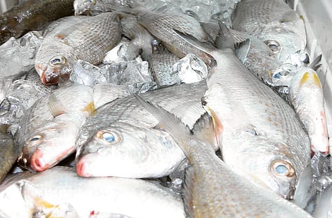 Courtesy: Ministry of Environment and Water