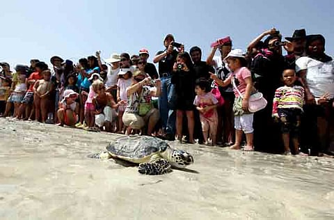 FRANCOIS NEL/Gulf News