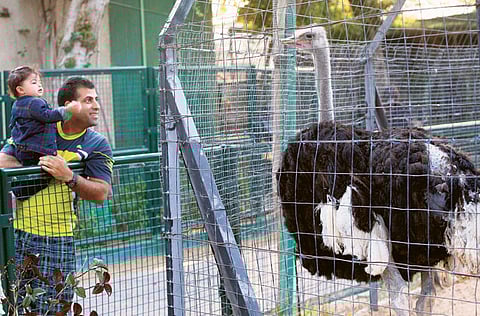 HADRIAN HERNANDEZ/Gulf News