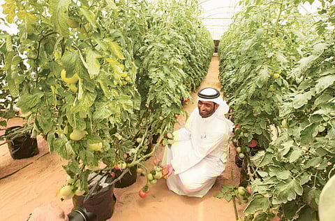 ABDUL RAHMAN/Gulf News