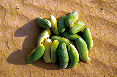 Corbis/ArabianEye.com