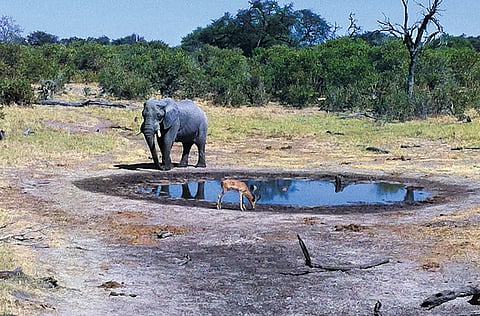 Sankha Kar/GULF NEWS