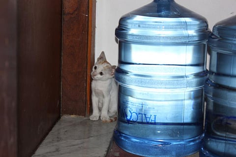 Letters: July 25, 2012