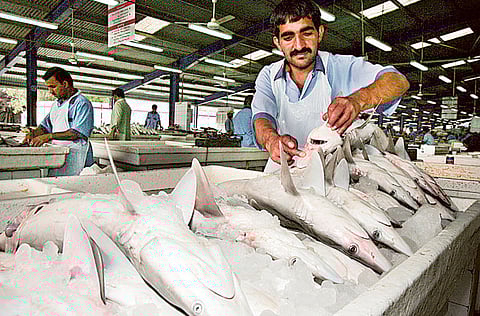 Atiq-Ur-Rehman/Gulf News Archives