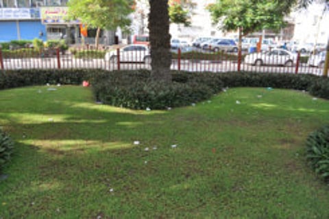 New attitude towards littering needed