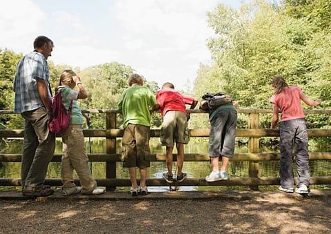 The Steiner education movement: Exploring alternative education