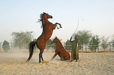 Dennis B. Mallari/ANM