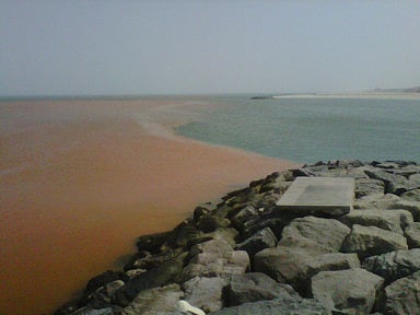 Francis Matthew/Gulf News