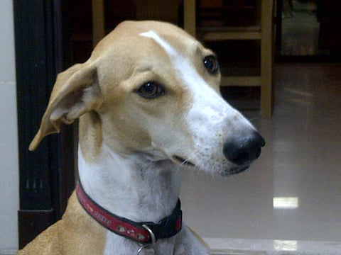 Has anyone seen Nate?