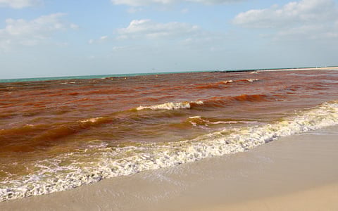 Virendra Saklani/XPRESS