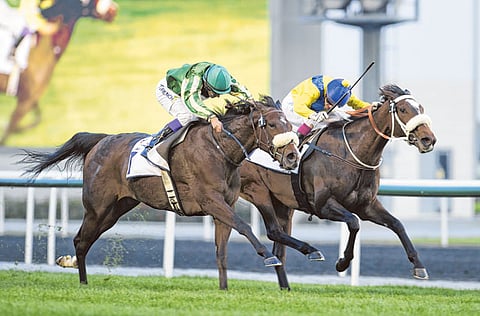 Courtesy: Dubai Racing Club