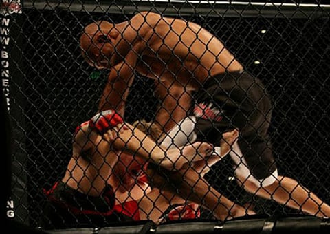 Sundance Festival winners list