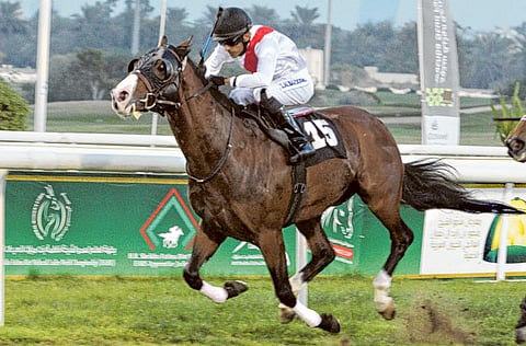 Ahmed Kutty/Gulf News