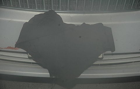 Saudi drivers to stand trial for concealed plates