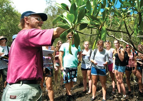 Southern Cross University