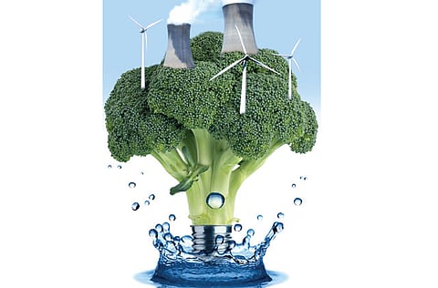 Niño Jose Heredia/©Gulf News