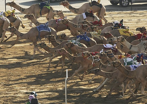 Clint Egbert | GN Archives