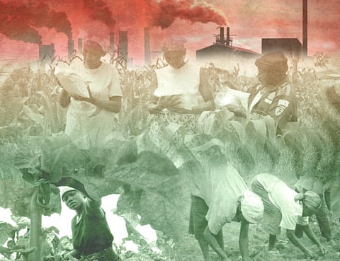 Land-grab phenomenon threatens Africa