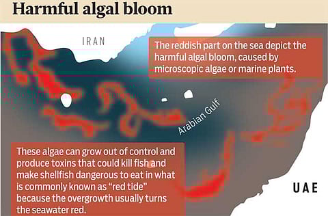 Source: National Oceanic and Atmospheric Administration, US