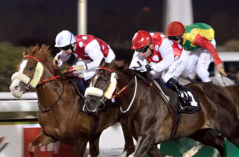 Ahmed Kutty/Gulf News