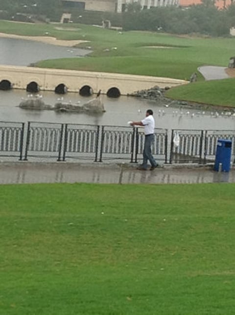 People openly pollute creek in Dubai