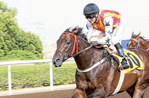 Virendra Saklani/Gulf News Archives